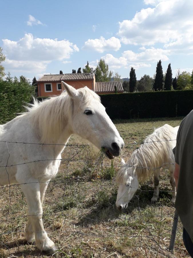 Le Mas Joséphine Saint-Rémy-de-Provence Esterno foto